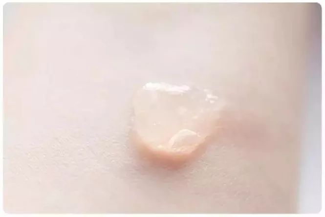 pola极光新款,pola系列最值得买的