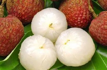 鍖楁捣绔ラ瀷,鍖楁捣甯傜殑绔ラ瀷