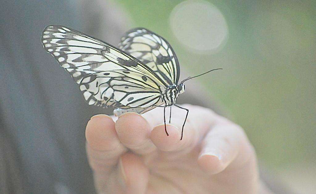 双手交叉怎么看性格,怎样看待我们的感情