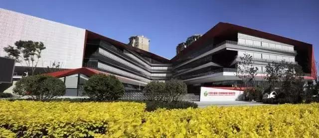 滨海小外2020升学率,滨海小外高考一本率