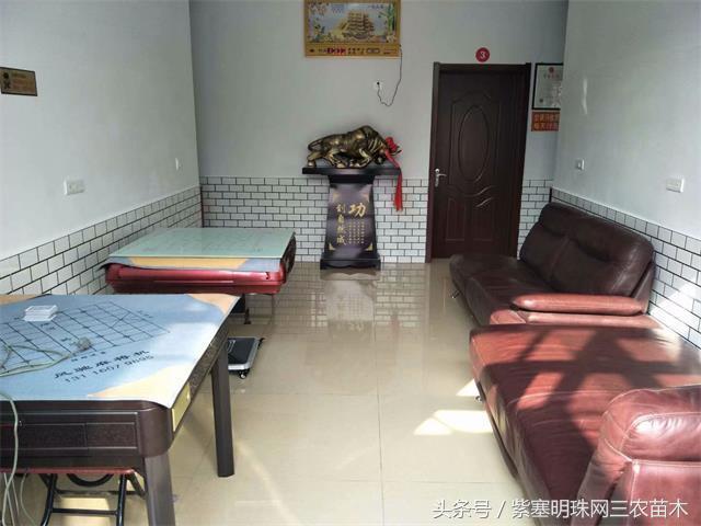 梨木台古树农家院,蓟县梨木台兴业缘农家院