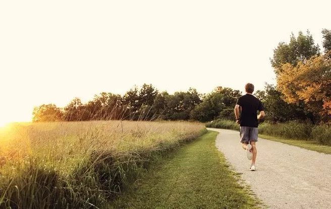 自律的人到底有多恐怖,为什么说自律才是最大的自由