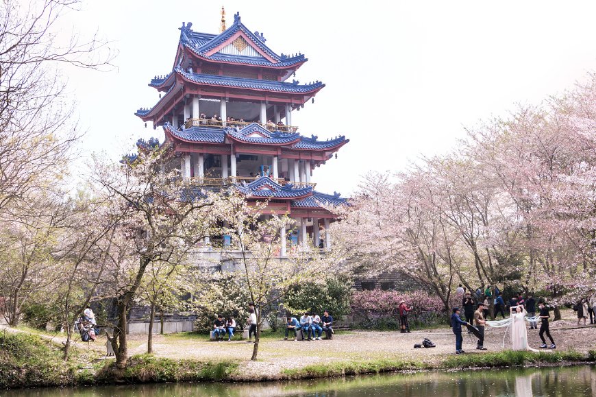 鑻忓窞澶箹鏄庣彔,鑻忓窞鍚翠腑鏉鹃櫟澶箹鏄庣彔