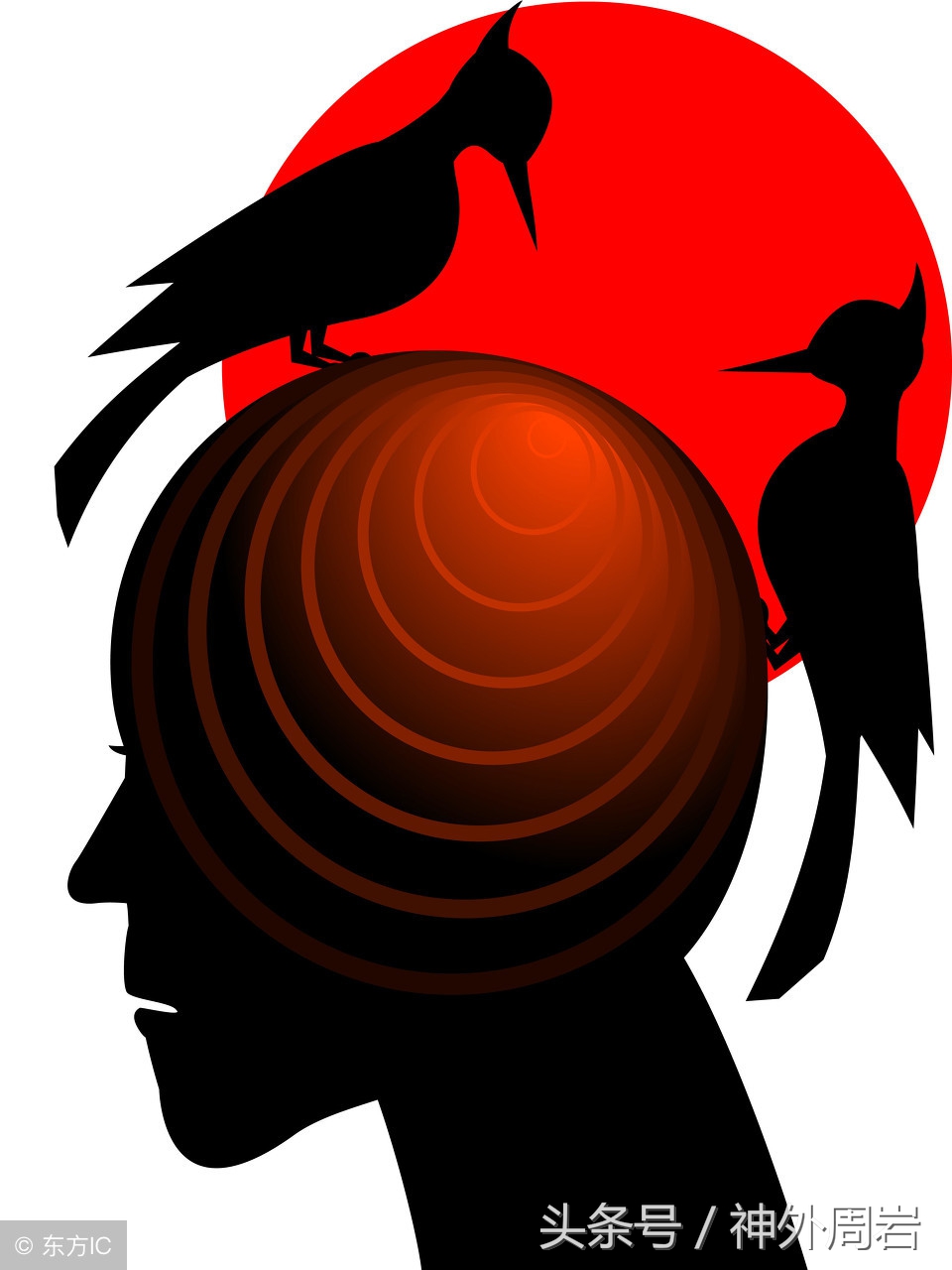 chiari鐣稿舰,chiari鐣稿舰纭瘖