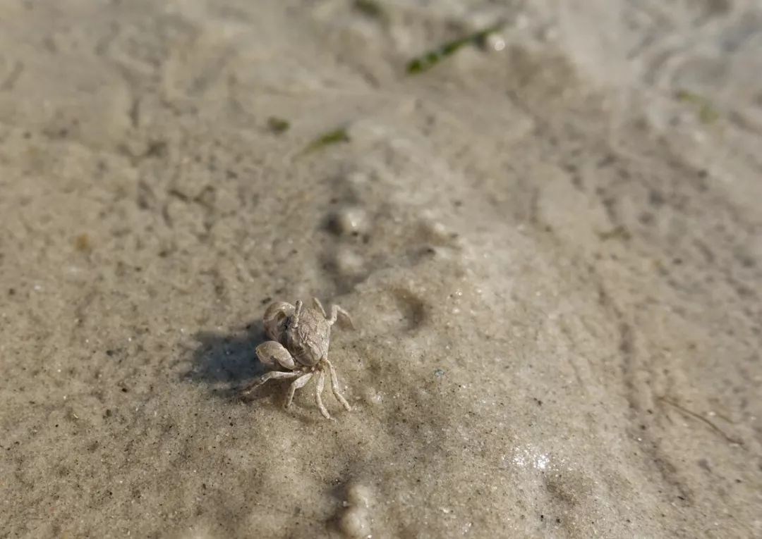 广西北海自助游旅游攻略,一家人北海一日游