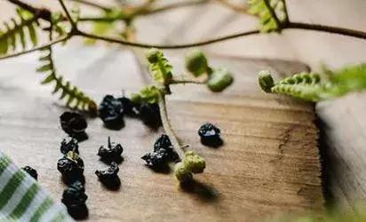 夏日养生茶黑枸杞,夏至可以喝黑枸杞水吗