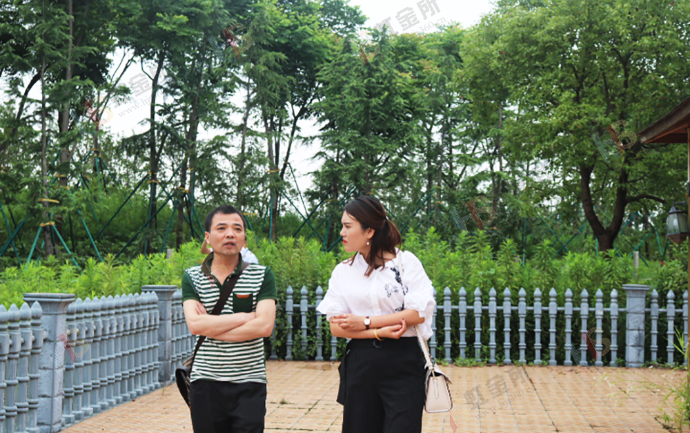 虹金所网贷服务有限公司,虹金所最新消息