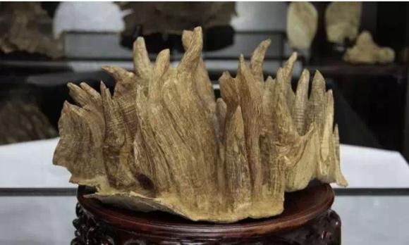 天香界沉香,天香和沉香哪个好