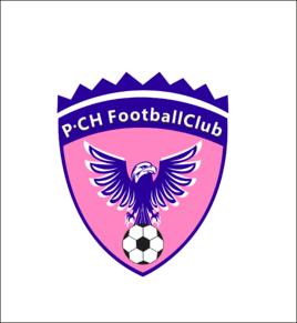 深圳历史上的中超球队,深圳都有哪两个中超球队