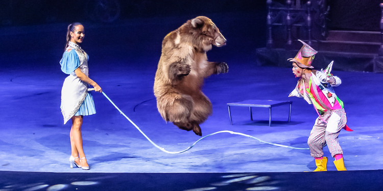 长隆大马戏飞鸟乐园,长隆梦幻大马戏儿童乐园