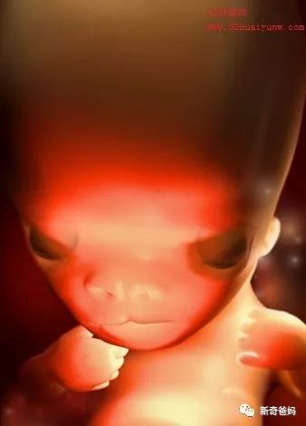 宝宝孕育周刊,孕期指南第6周