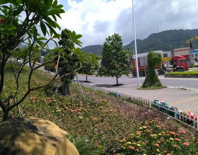 肇庆市场的景色,肇庆新开的农贸市场