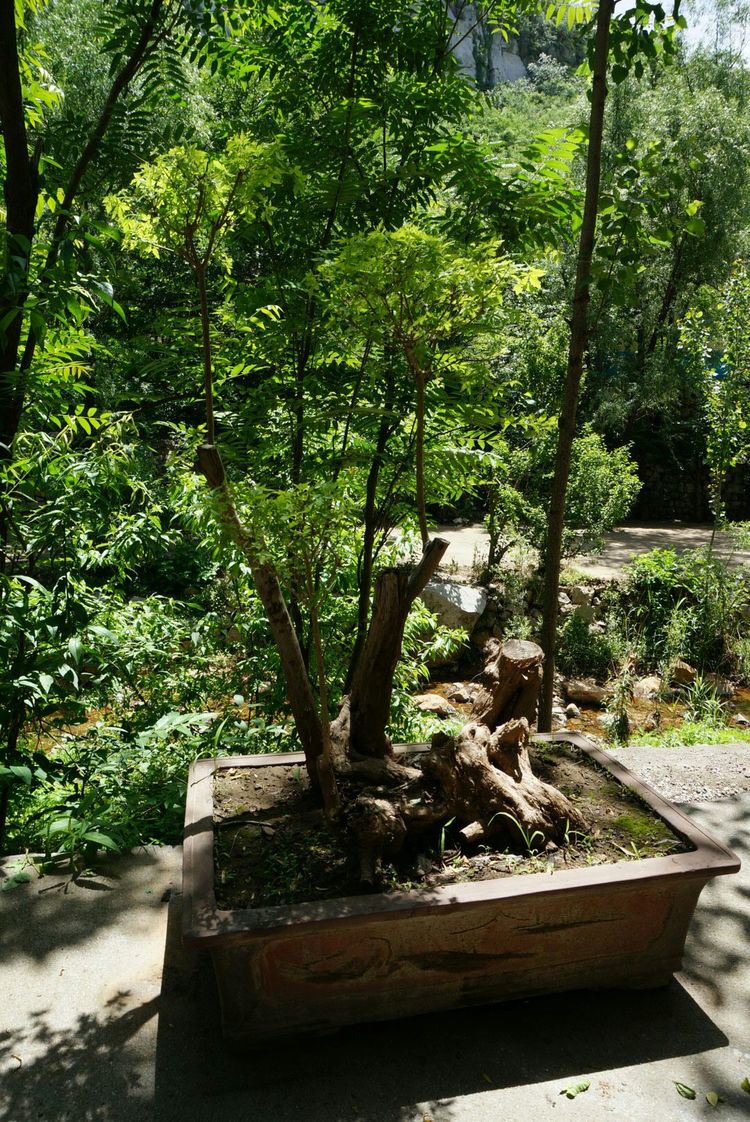 天晴湾风景区,淄川天晴湾