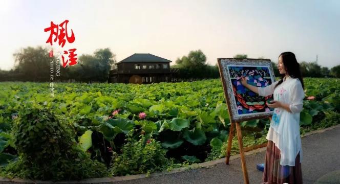 上海有哪些公园可以赏花,上海现在有哪些公园可观赏到荷花