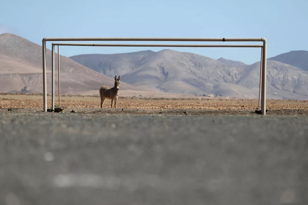 足球场奇葩时刻集锦,世界上最奇葩的足球场