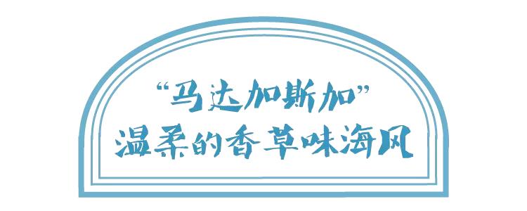 布歌东京新款,布歌东京布蕾复刻