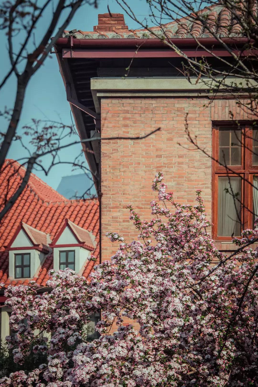 天津人的特点和天津文化的关系,对天津人是有怎样的感悟