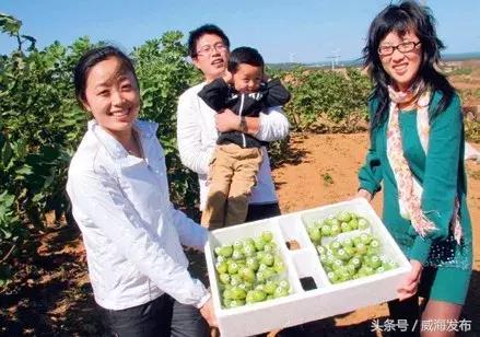 威海一个非常宜居的城市,威海是一个包容性很强的城市