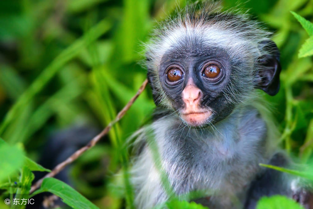 巴厘岛省钱攻略,巴厘岛的慵懒时光