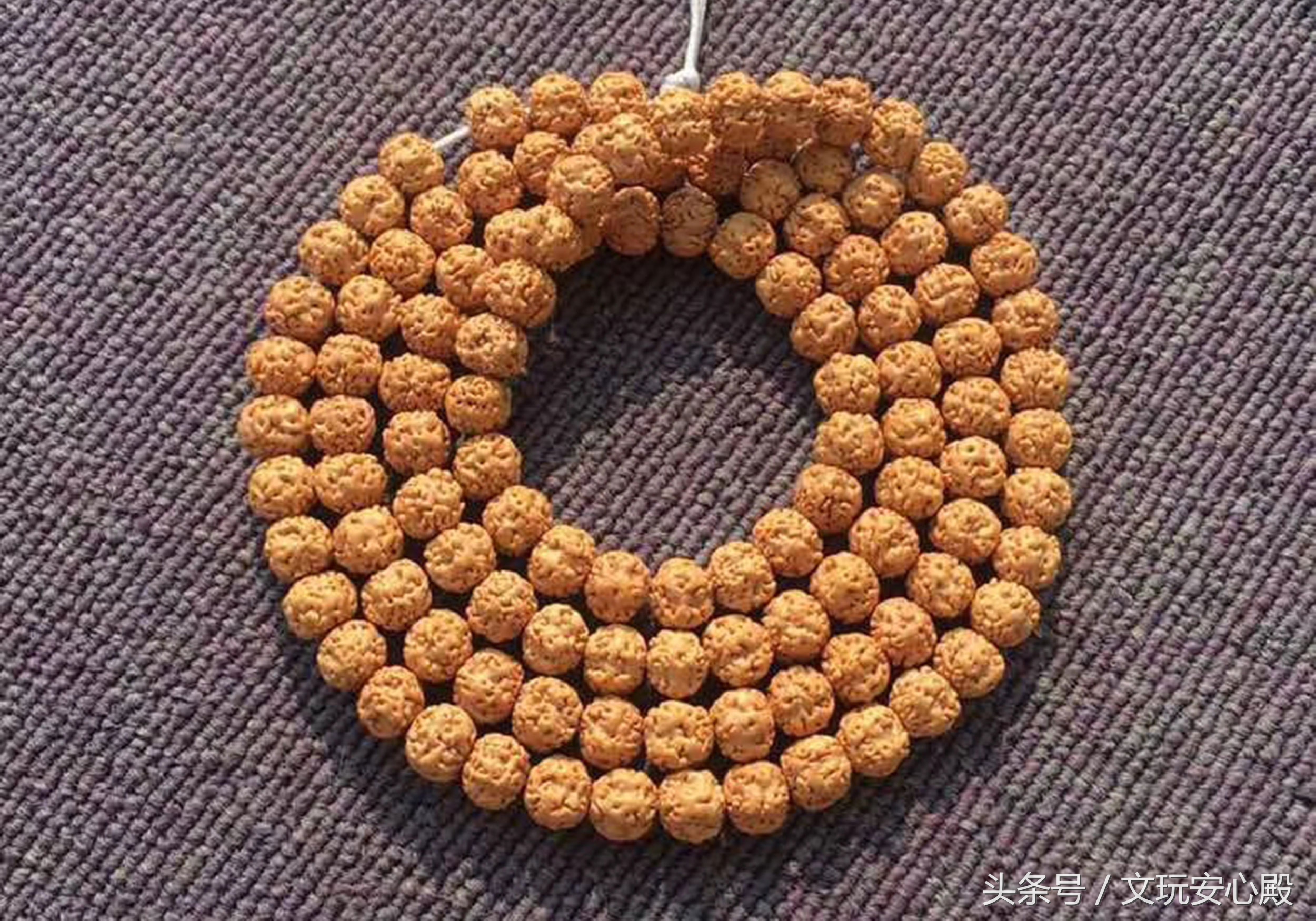 比较热卖的小金刚菩提,菩提小金刚有的黄有的红