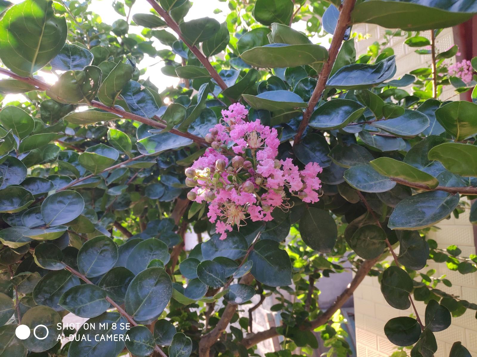 小米6测评值不值得购买,小米6跟红米6哪个好