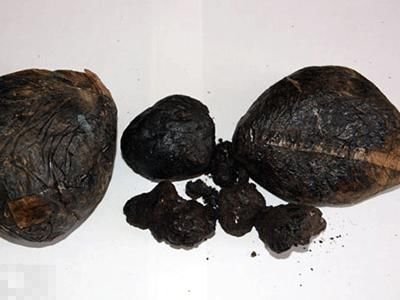 禁毒基础知识文件,国家相关禁毒的法律法规20字