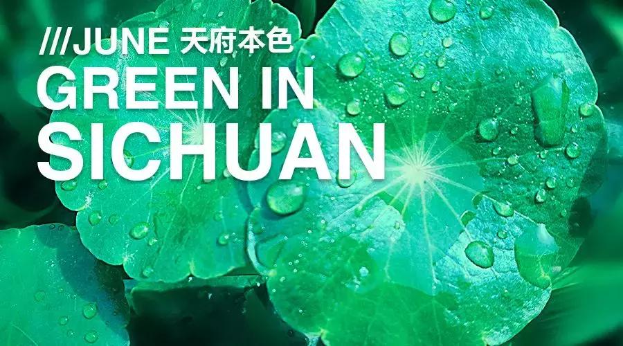 天府本色｜连雨不知春去，一晴方觉夏深