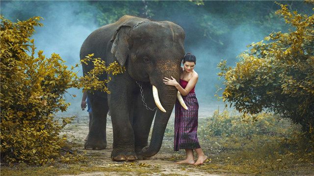 为什么这么多人喜欢去泰国,为啥好多人爱去泰国玩