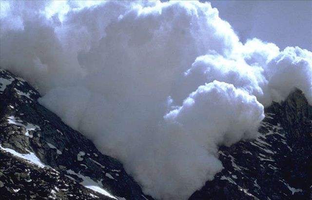 韭菜不够，大户来凑？—满币网事件始末