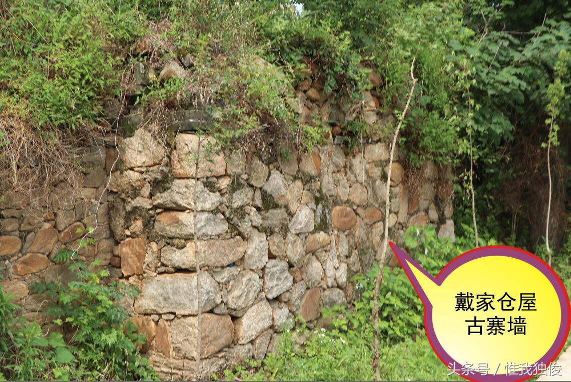 随州太白顶风景区简介视频,发现之旅神农架野人之谜