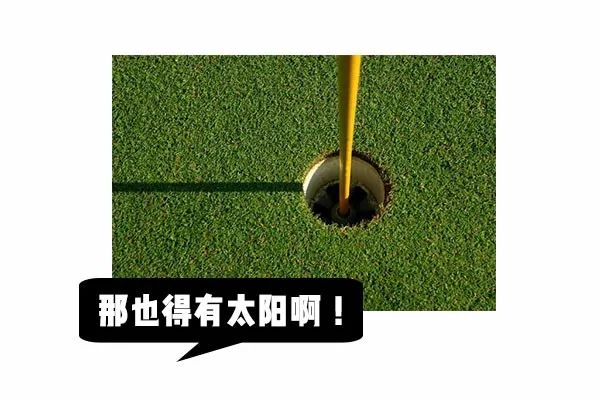 自家别墅花园有蛇什么原因,深圳一别墅区惊现蛇出没