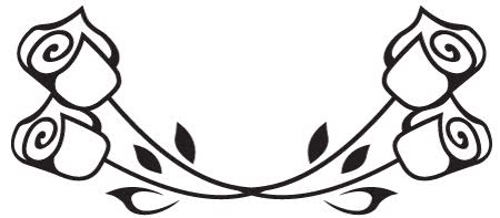 超声刀真实图片,超声刀有什么秘密