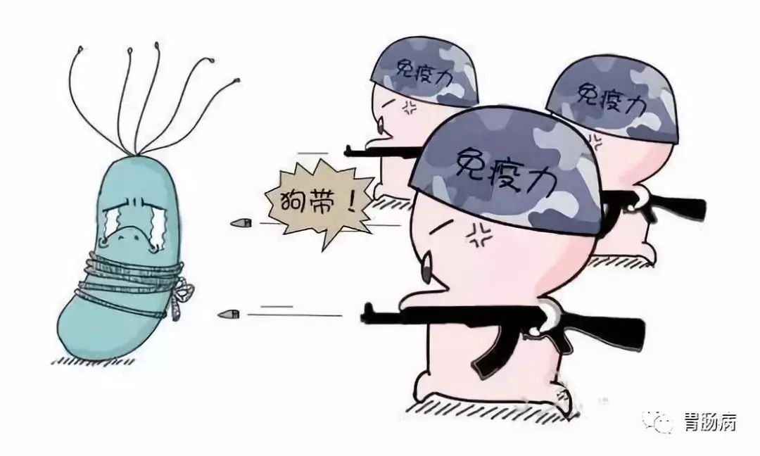 幽门螺杆菌讲解视频,幽门螺杆菌的基础实验