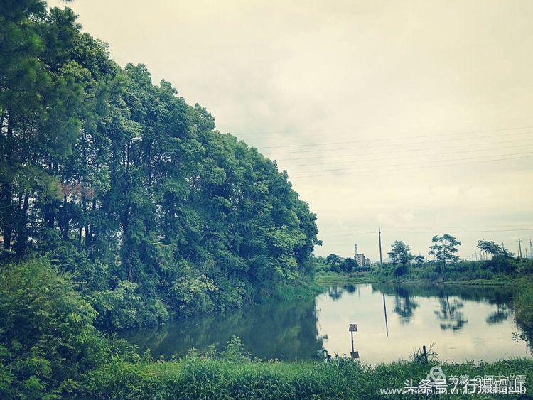 铅山风情,铅山河口古镇一日游游记