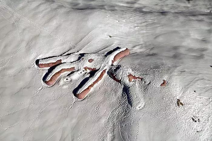 三观毁｜这个位于荷兰鹿特丹的博物馆，居然进屎了!!