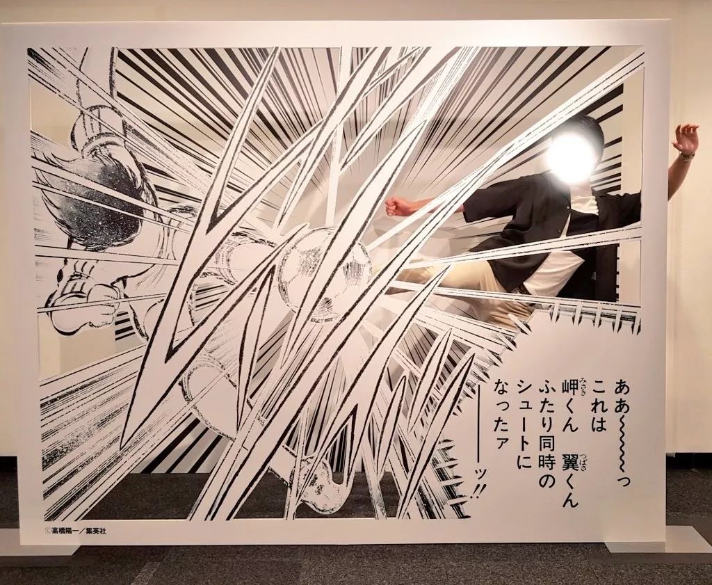 猛虎射门,猛虎式射门实力