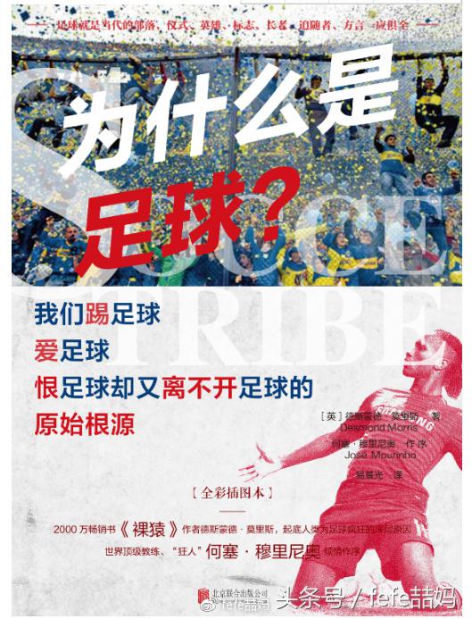 足球世界杯必备书,足球书籍世界杯