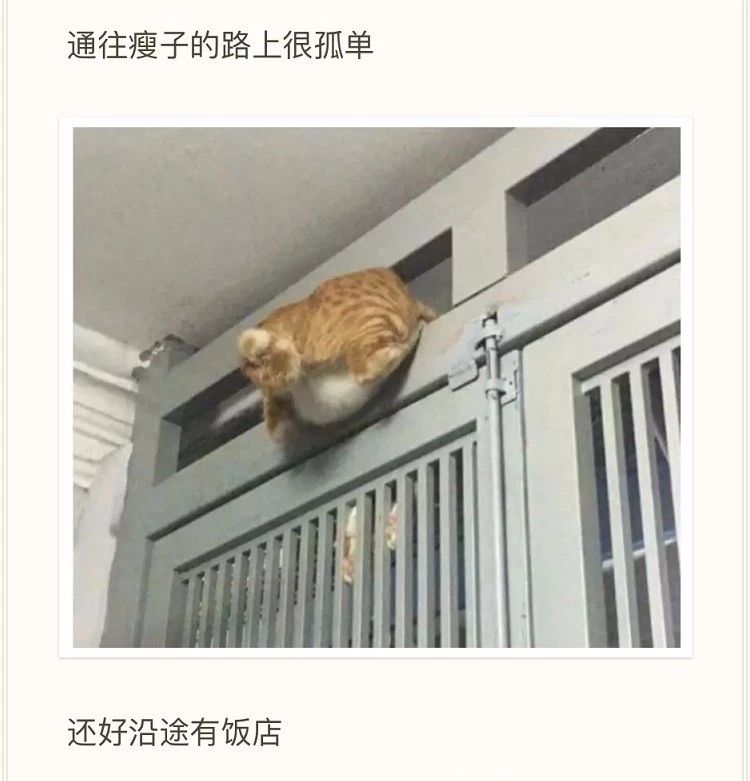 千万不要赌球搞笑版,千万不要赌球的危害