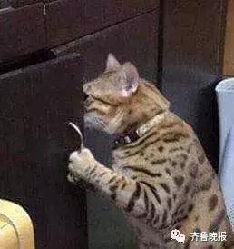 香水有毒超上头女版,香水中毒女子