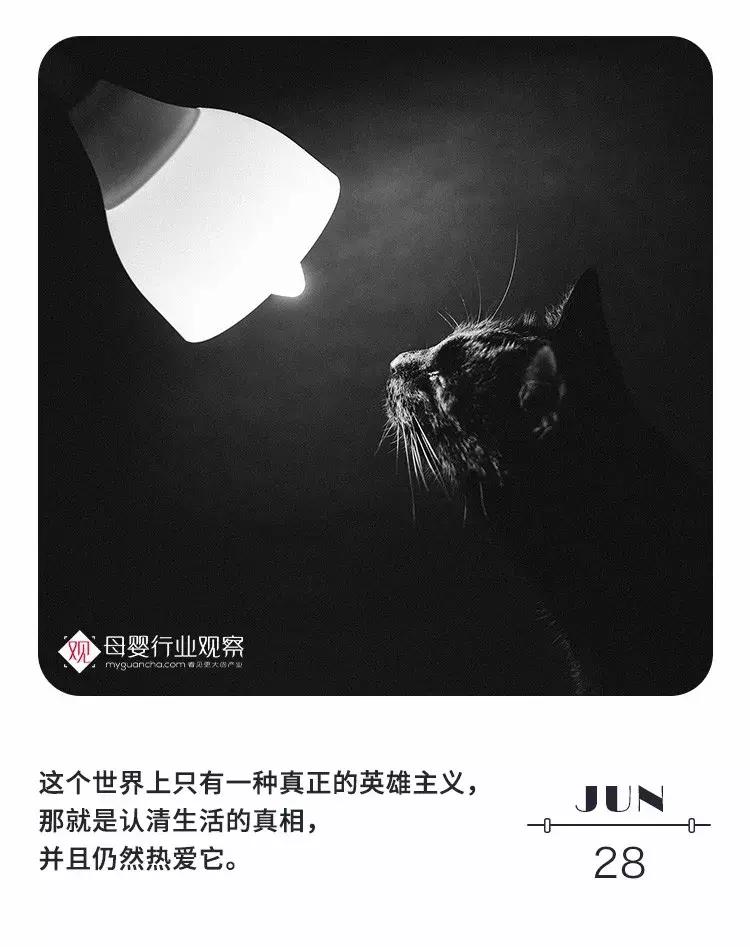 母婴日报丨牵手奥运冠军刘璇，隅田川投资15亿落户扬州宝应