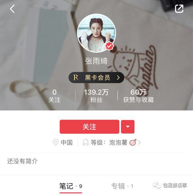 张雨绮价值80万,张雨绮大牌