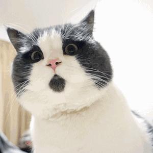 办理宽带却被携号转网,办宽带被强制要求绑定号码