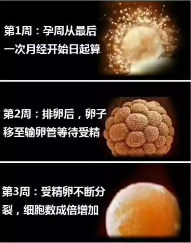 养出漂亮宝宝,养出聪明娃的技巧