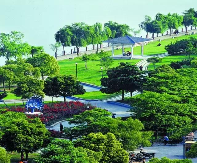 义乌江滨绿廊景点,义乌江滨绿廊公园绣球花