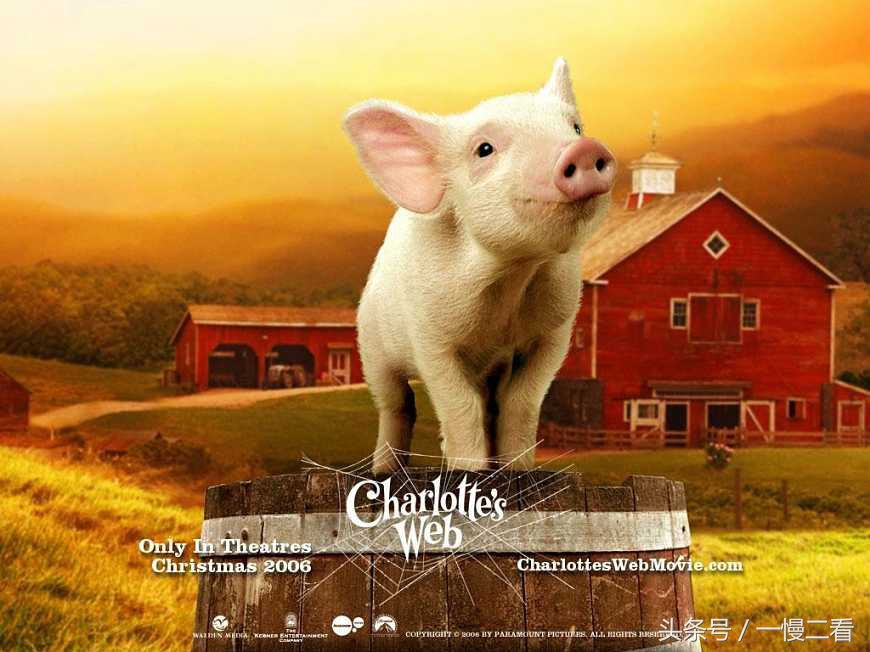 快乐暑假阅读,快乐暑假阅读书籍