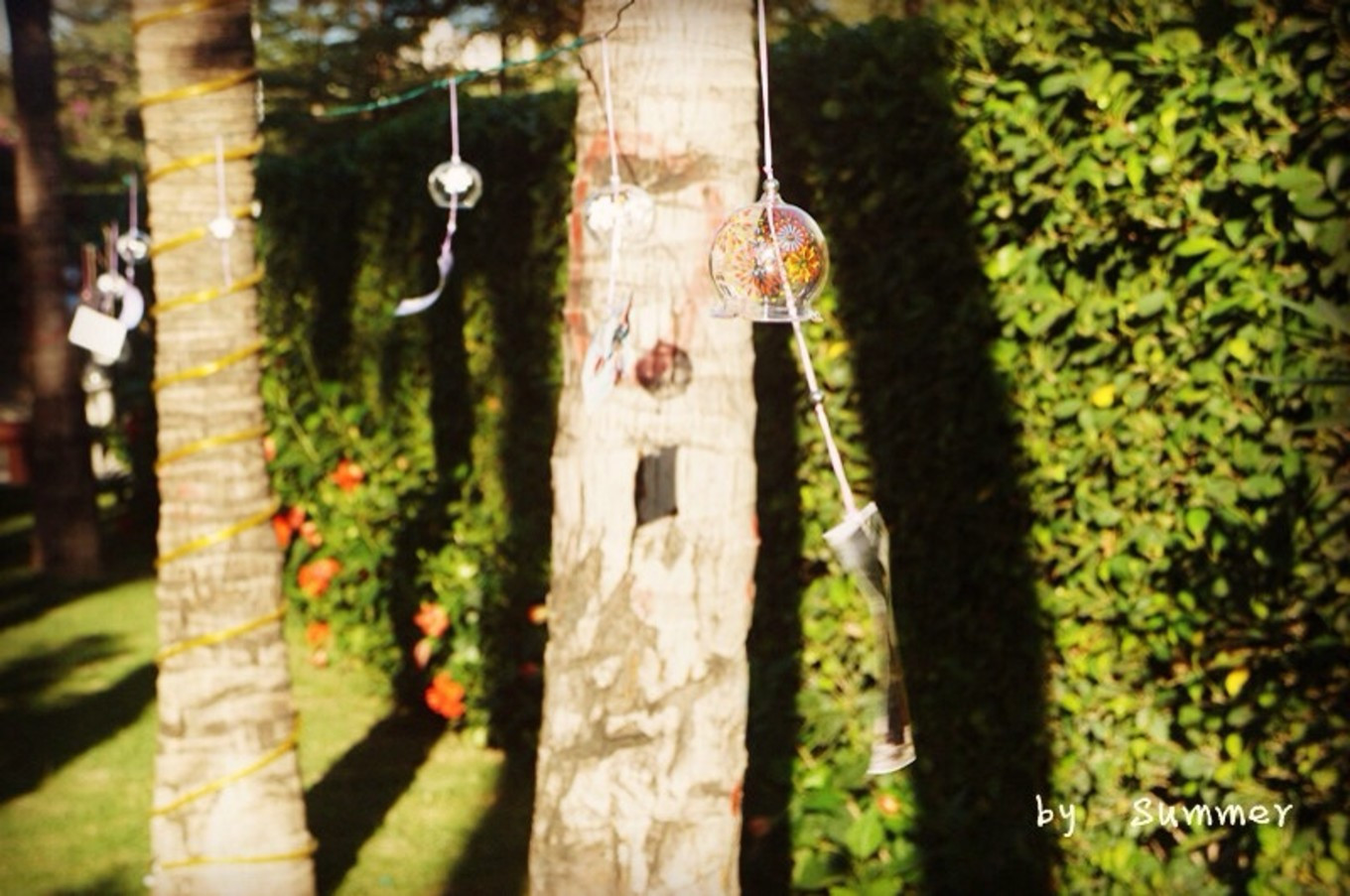 带妈妈去海南旅游应该去哪里,妈妈要去海南旅游需要准备点啥