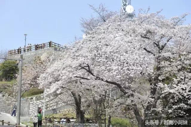 14个不要去日本广岛的理由，成功的说服了我