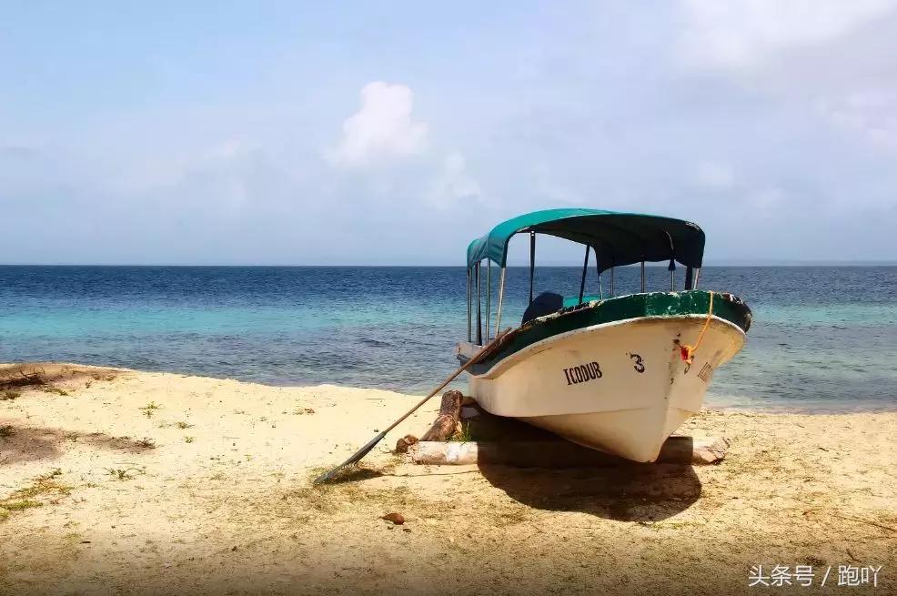 单次世界杯进球最多的国家,世界杯单场进球最多的国家