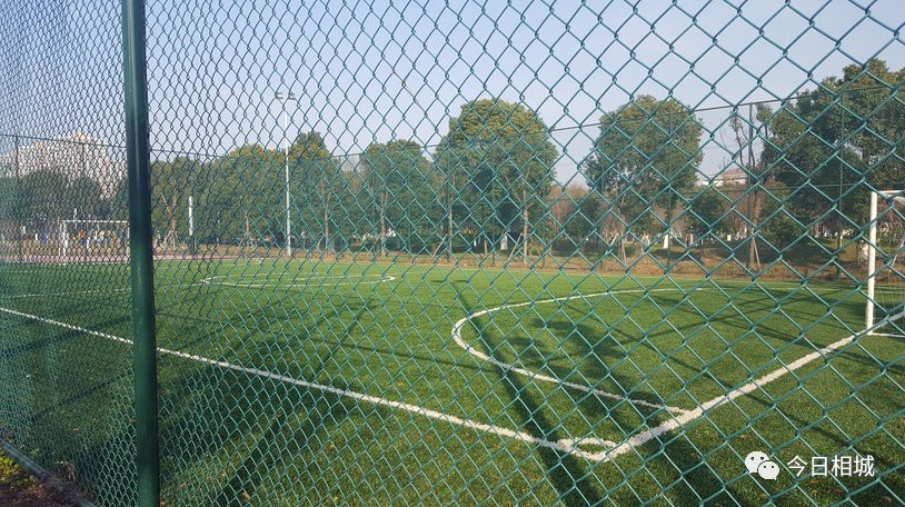 世界杯踢球场地是不是草坪,世界杯足球场有没有篮球场大