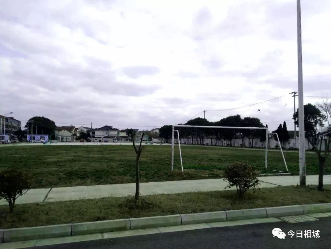 世界杯踢球场地是不是草坪,世界杯足球场有没有篮球场大